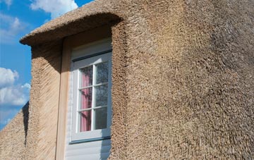 Danesford thatch roof disadvantages